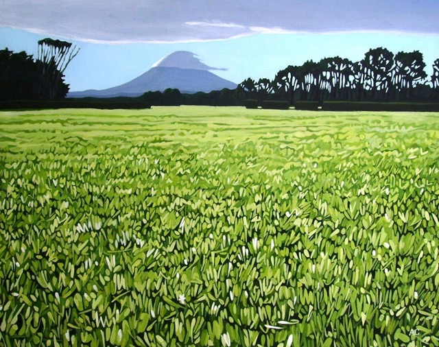 Taranaki 5