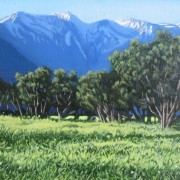 Kaikoura 1