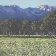 Kaikoura 3