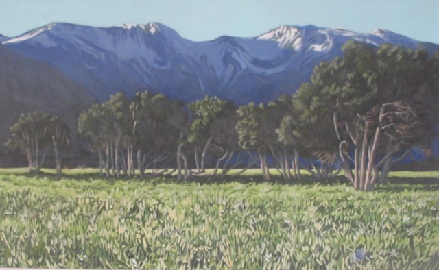 Kaikoura 3