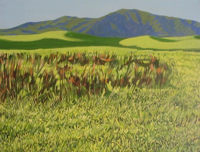 Kapiti 1
