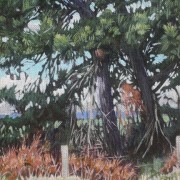 Longburn