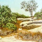 Tzur Hadassa