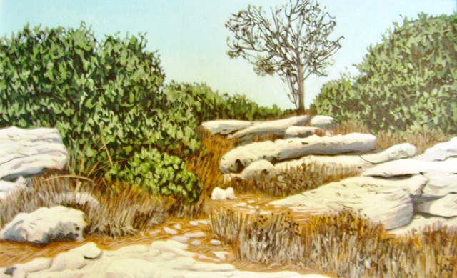 Tzur Hadassa
