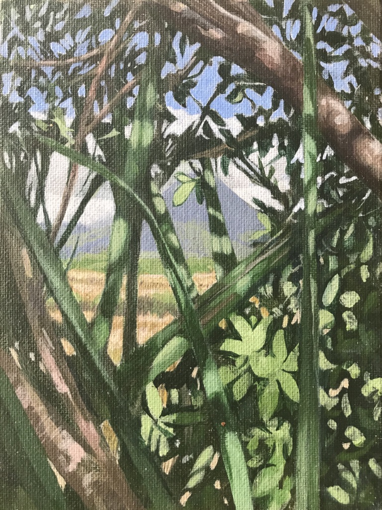 Ngaurohoe 6
