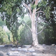 Northern Galilee 2