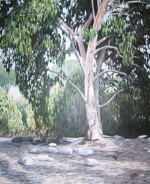 Northern Galilee 2