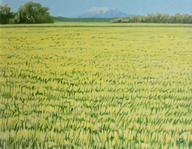Ruapehu 4