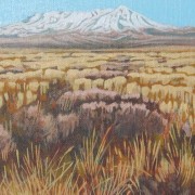 Ruapehu 3