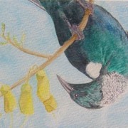 Tui