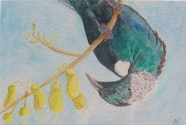 Tui
