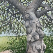 Fig Tree